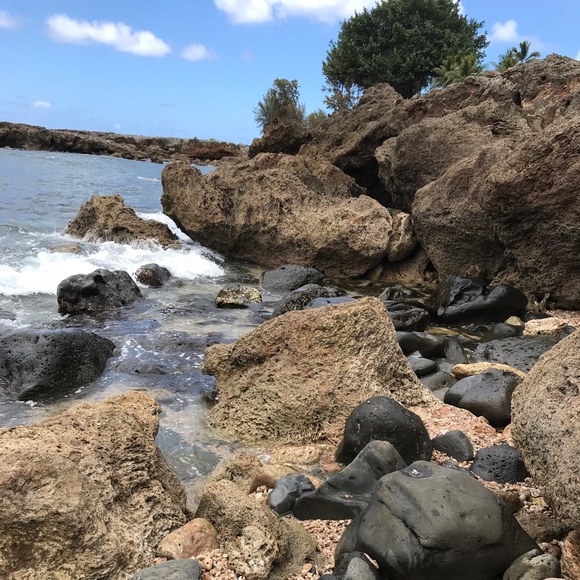 Meet your Posher, Teri - Picture 2 of 4